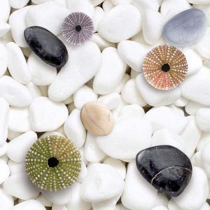 Gạch lát nền nhà tắm Viglacera GQ 306