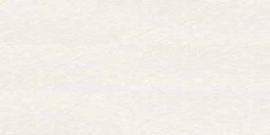 Gạch TKG GC600X299-052