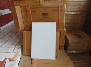 Giá 1 thùng gạch lát nền Taicera hiện nay